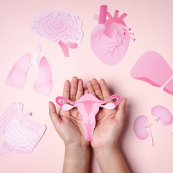 <b>PCOS BASIC ONE MONTH PLAN (4500 PKR)</b> – 1 customized PCOS diet plan + allowed/avoid list + portion guidance + weekly follow-up.